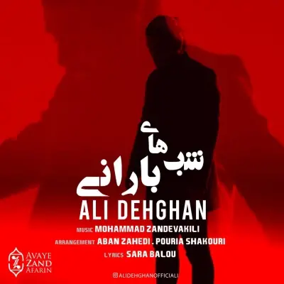 Ali Dehghan Shabhaye Barani