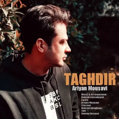 Ariyan Mousavi Taghdir