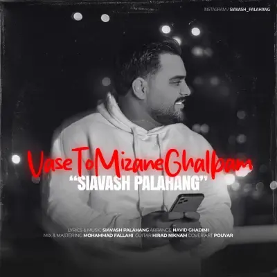 Siavash Palahang Vase To Mizane Ghalbam