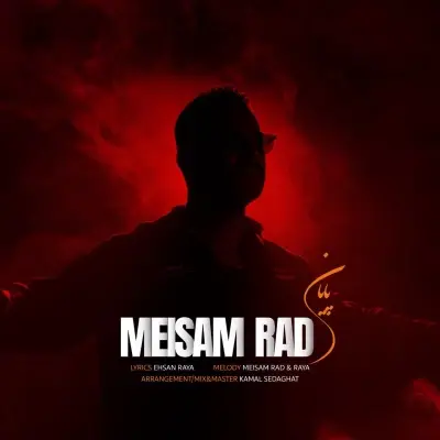 Meisam Rad Payan Meisam Rad Payan