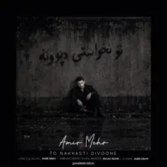 امیر مهر — تو نخواستی دیوونه