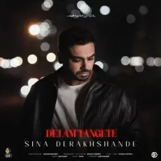 سینا درخشنده — دلم تنگته
