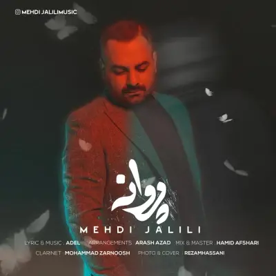 مهدی جلیلی — پروانه