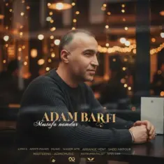 Mostafa Namdar – Adam Barfi