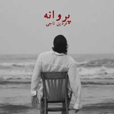 Fardin Naji Parvane