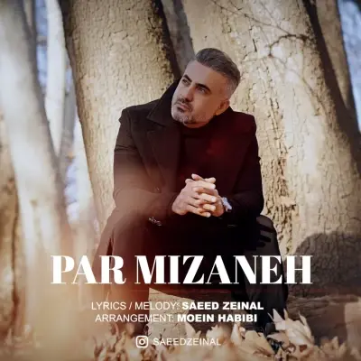 Saeed Zeinal Par Mizaneh Saeed Zeinal Par Mizaneh