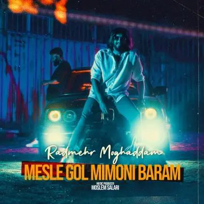 Radmehr Moghaddam Mesle Gol Mimooni Baram