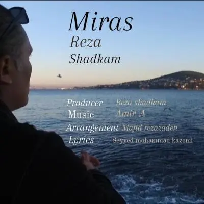 Reza Shadkam Miras