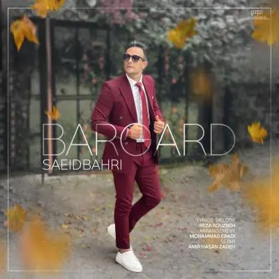 Saeid Bahari Bargard