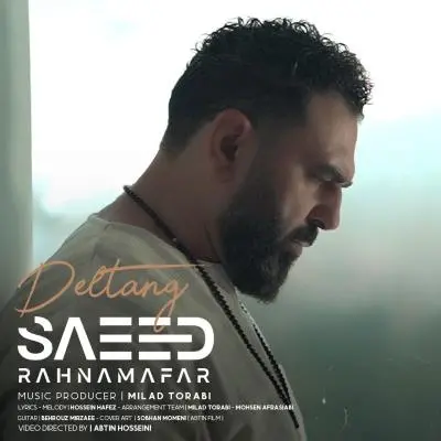 سعید رهنمافر — دلتنگ