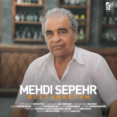 Mehdi Sepehr Deltangetam