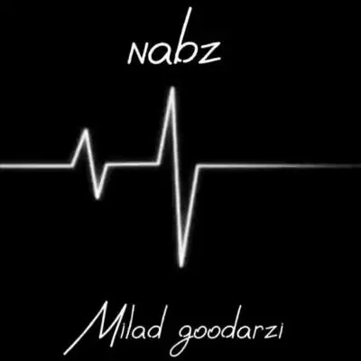 میلاد گودرزی — نبض