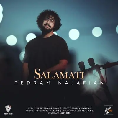 Pedram Najafian Salamati