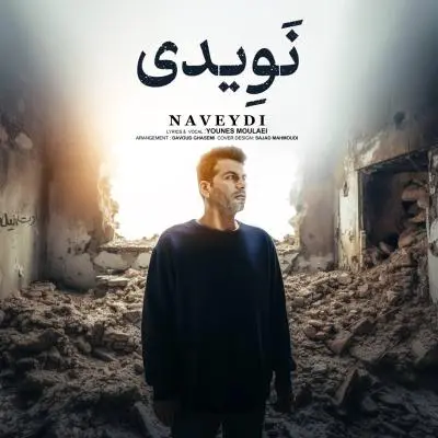Younes Moulaei Naveydi