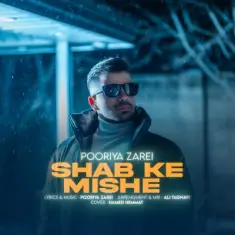 پوریا زارعی — شب که میشه