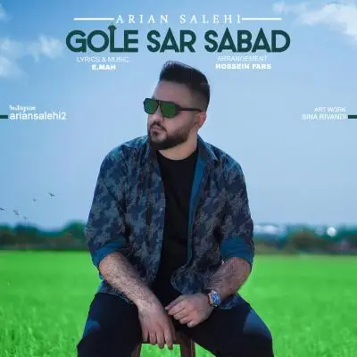 Arian Salehi Gole Sar Sabad