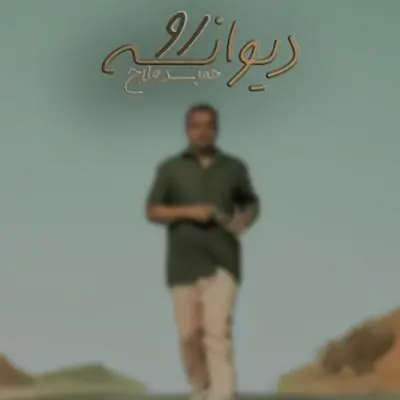 حمید فلاح — دیوانه رو