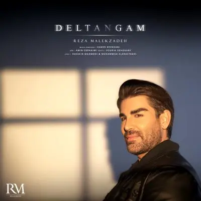 Reza Malekzadeh Deltangam