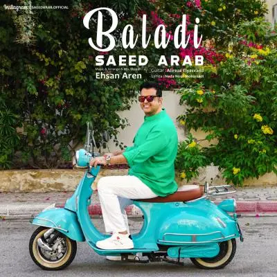 سعید عرب — بلدی