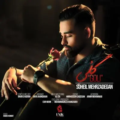 سهیل مهرزادگان — گلی