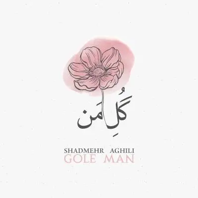 Shadmehr Aghili Gole Man (Live)
