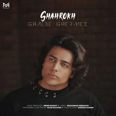 Shahrokh Mousavi Ghalbe Ghermez