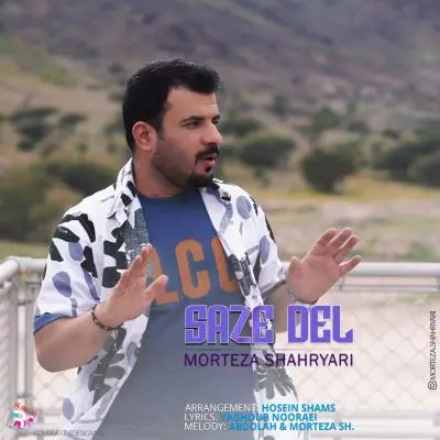 Morteza Shahryari Saze Del