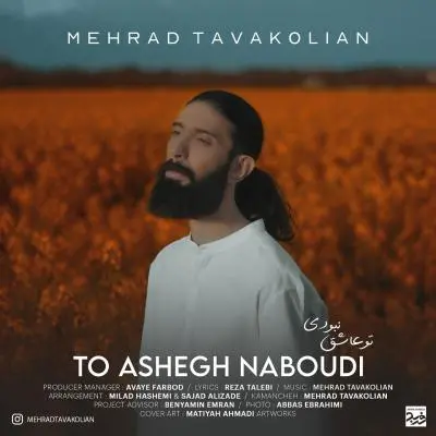 Mehrad Tavakolian To Ashegh Naboudi