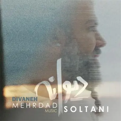 Mehrdad Soltani Divaneh