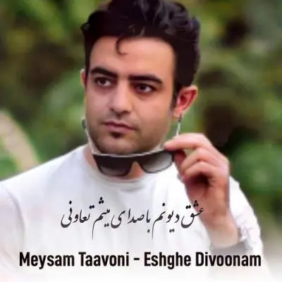 Meysam Taavoni Eshghe Divoonam