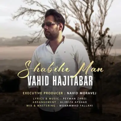 Vahid Hajitabar Shabihe Man