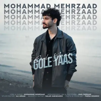Mohammad Mehrzaad Gole Yaas Mohammad Mehrzaad Gole Yaas