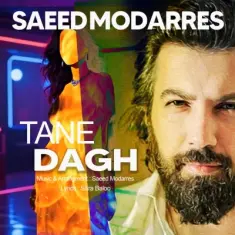 Saeed Modarres – Tane Daagh