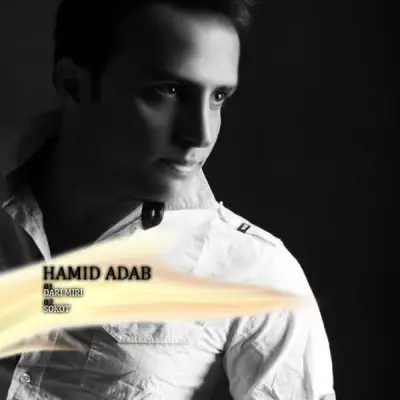 Hamid Adab Dari Miri