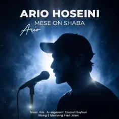 Ario Hoseini – Mese On Shaba