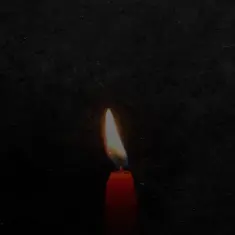 Arman Garshasbi – Koja Gorizam