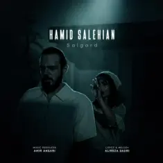 Hamid Salehian – Salgard