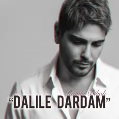 Ramin Bibak – Dalile Dardam