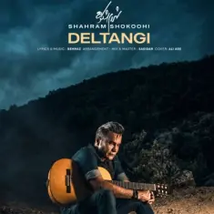 Shahram Shokoohi – Deltangi