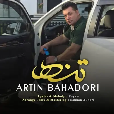 Artin Bahadori Tanha