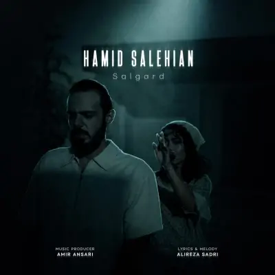 Hamid Salehian Salgard
