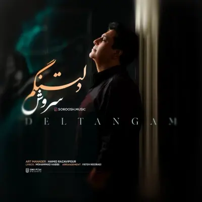 سروش — دلتنگم