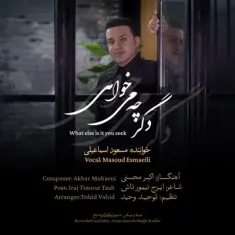 Masoud Esmaeili – Degar Che Mikhahi