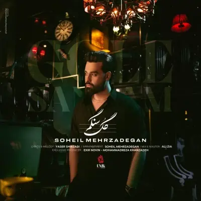Soheil Mehrzadegan Gole Sangam