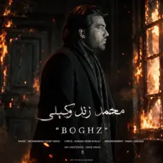 محمد زندوکیلی — بغض