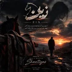 Sina Parsian – Zin