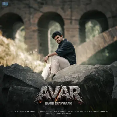 Ramin Shahvarani Avar
