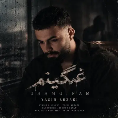 Yasin Rezaei Ghamginam
